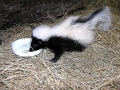 DSCN5734
