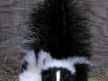 DSCN5856