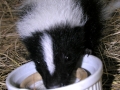 DSCN5868_1