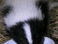 DSCN5870
