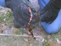 DSCN3254