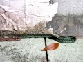 DSCN1125