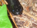 DSC00566