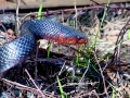 DSC02359