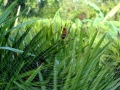 10-01-09_017
