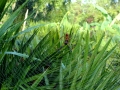10-01-09_018