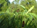 10-01-09_020