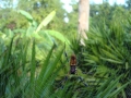 10-01-09_021