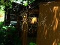 8-5-09_noon