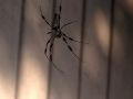 DSCN1164