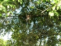 DSCN1165