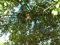 DSCN1165_1