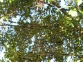 DSCN1166
