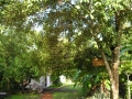 DSCN1166_1