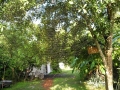 DSCN1167