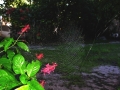 DSCN4812
