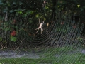 DSCN4812_1