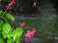 DSCN4812_2