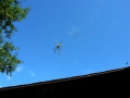 DSCN6261