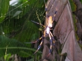 DSCN6304