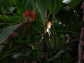 DSCN6305