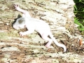 DSCN3485