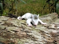 DSCN3672