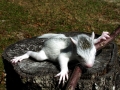 DSCN3683