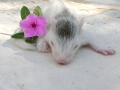 DSCN3722
