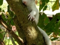 DSCN3724