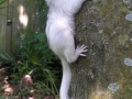 DSCN3968