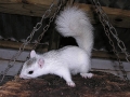 DSCN6879