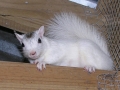 DSCN7321
