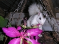 DSCN7357