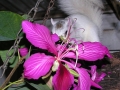 DSCN7358