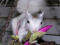DSCN7360