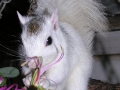 DSCN7361