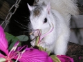 DSCN7361_1