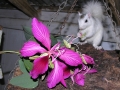 DSCN7362