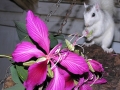 DSCN7362_1