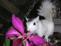 DSCN7364_1