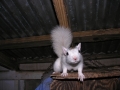 DSCN7365_1