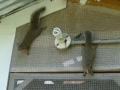DSC00045