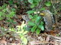 DSC01008