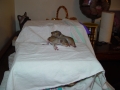 DSC02079