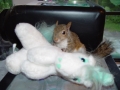 DSC05980