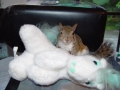 DSC05981