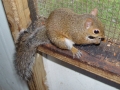 DSC06403