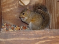DSC08052
