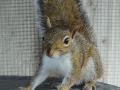 DSC09464